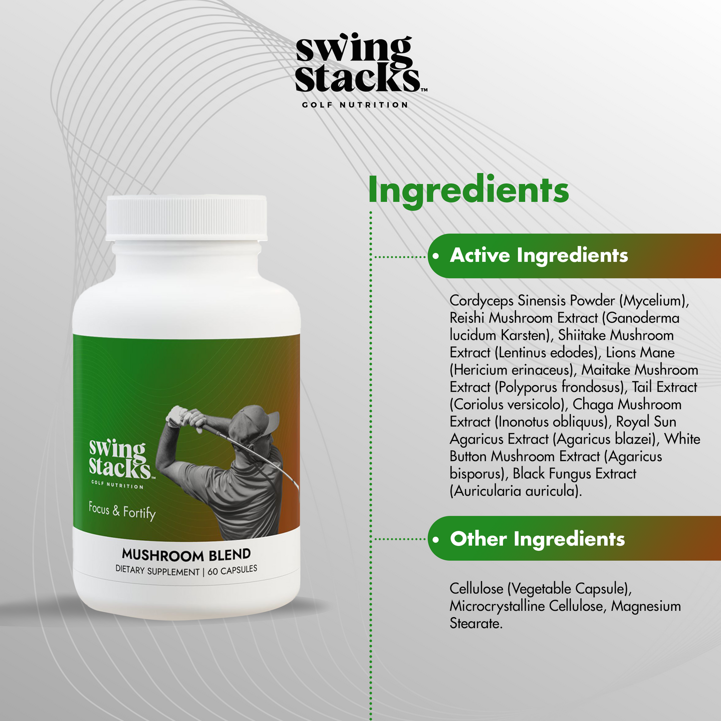 Function & Fortify | Mushroom Blend